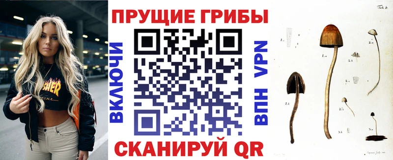 Галлюциногенные грибы ЛСД  Межгорье 